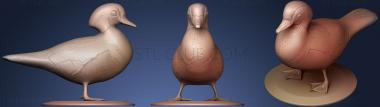 3D model Wood Duck Figurine (STL)